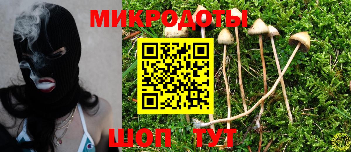 Уфа  как найти   Вход с VPN  Галлюциногенные грибы прущие грибы 
