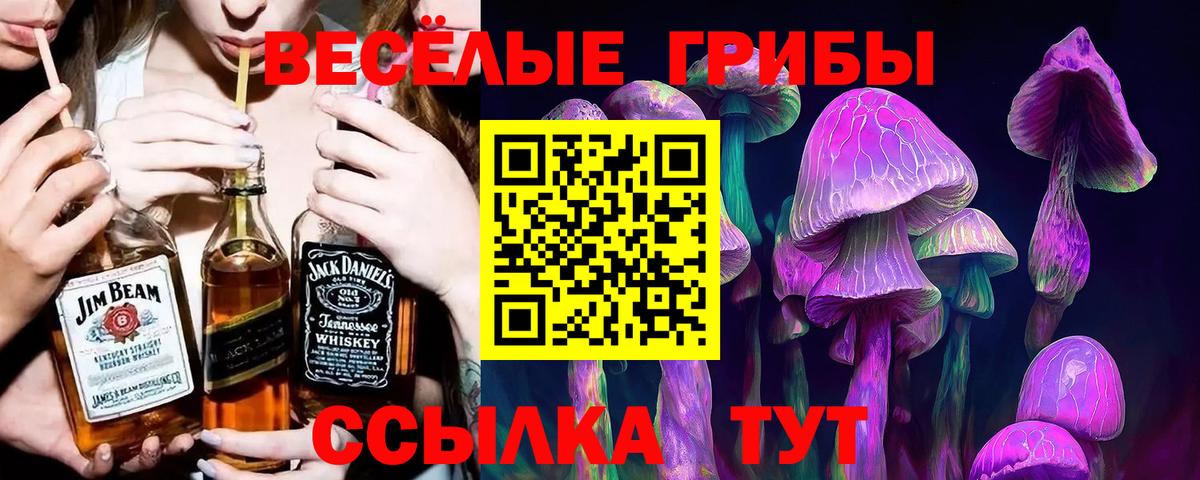 Псилоцибиновые грибы Psilocybine cubensis Уфа