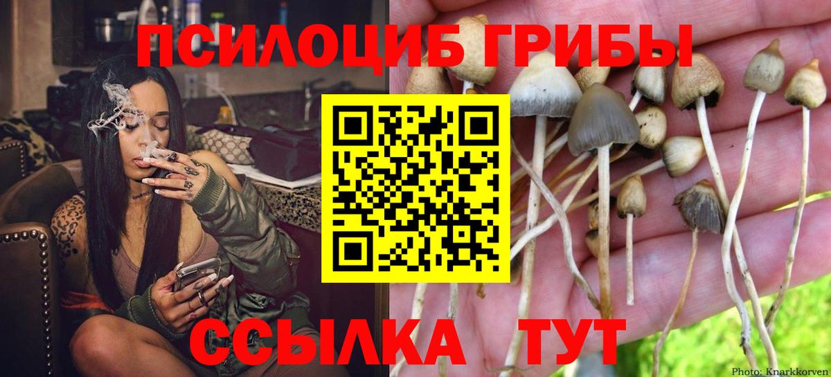 Галлюциногенные грибы GOLDEN TEACHER  Уфа  Псилоцибиновые грибы MAGIC MUSHROOMS 